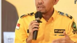 Tantangan Besar Bagi Partai Politik di Indonesia, Kurangnya Peran Generasi Muda