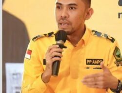 Tantangan Besar Bagi Partai Politik di Indonesia, Kurangnya Peran Generasi Muda